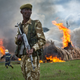 Image for article titled Today, Kenya Is Torching 5 Percent of the World's Stockpiled Ivory
